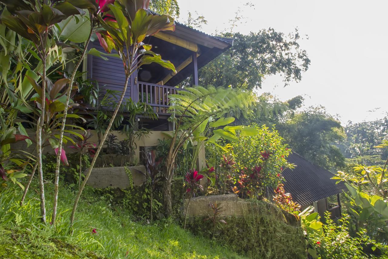 Villa Wedang Tegallalang  Exterior photo